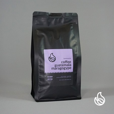 kawa guatemala maragogype