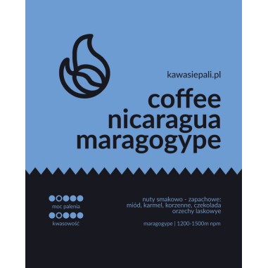 kawa nicaragua maragogype - puszka 120g