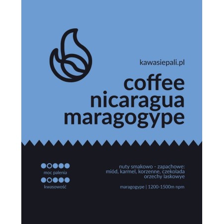 kawa nicaragua maragogype - puszka 120g