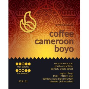 kawa cameroon boyo - kubełek 200g 2