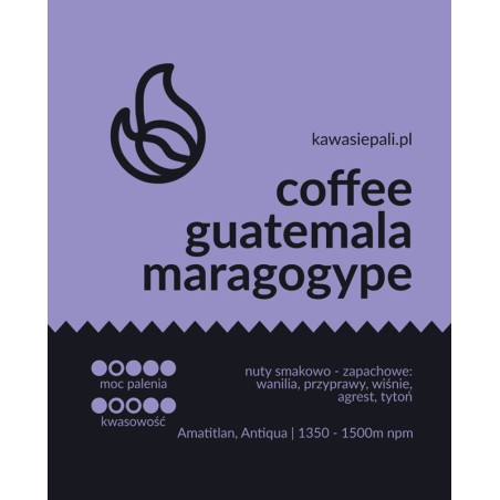 kawa guatemala maragogype