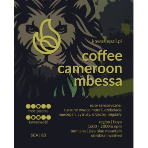 kawa cameroon mbessa w butelce 280g 2