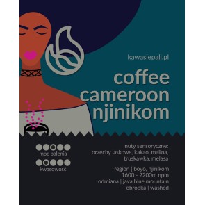 kawa cameroon njinikom w butelce 280g 2