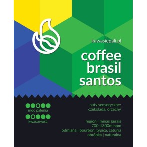 kawa brasil santos 2